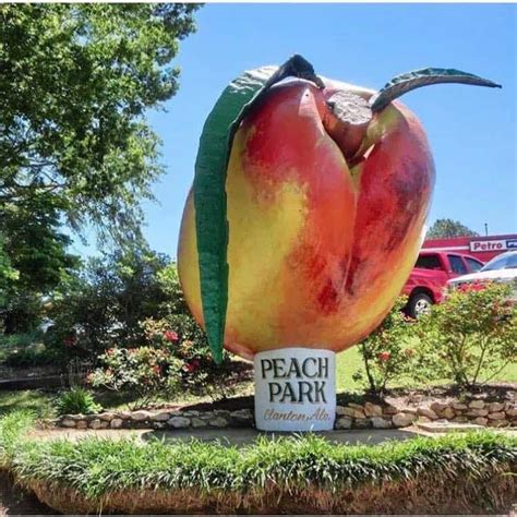 Peach park alabama - If you want to just get out of the car and walk around to stretch your legs, then stop at the peach capital of Alabama; Clanton. There are several markets in the area and you can enjoy the locals and some peach cobbler at Peach Park Market. Read more. Written April 13, …